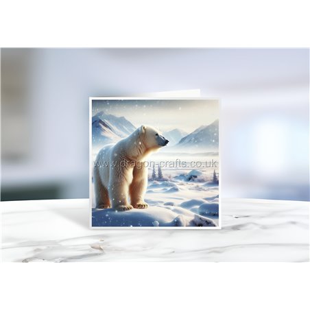 Greeting Card - Matt - 145x145mmPolar (2)