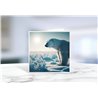 Greeting Card - Matt - 145x145mmPolar (4)