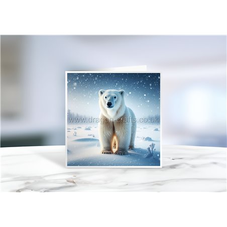 Greeting Card - Matt - 145x145mmPolar (5)