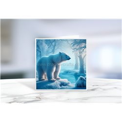 Greeting Card - Matt - 145x145mmPolar (6)