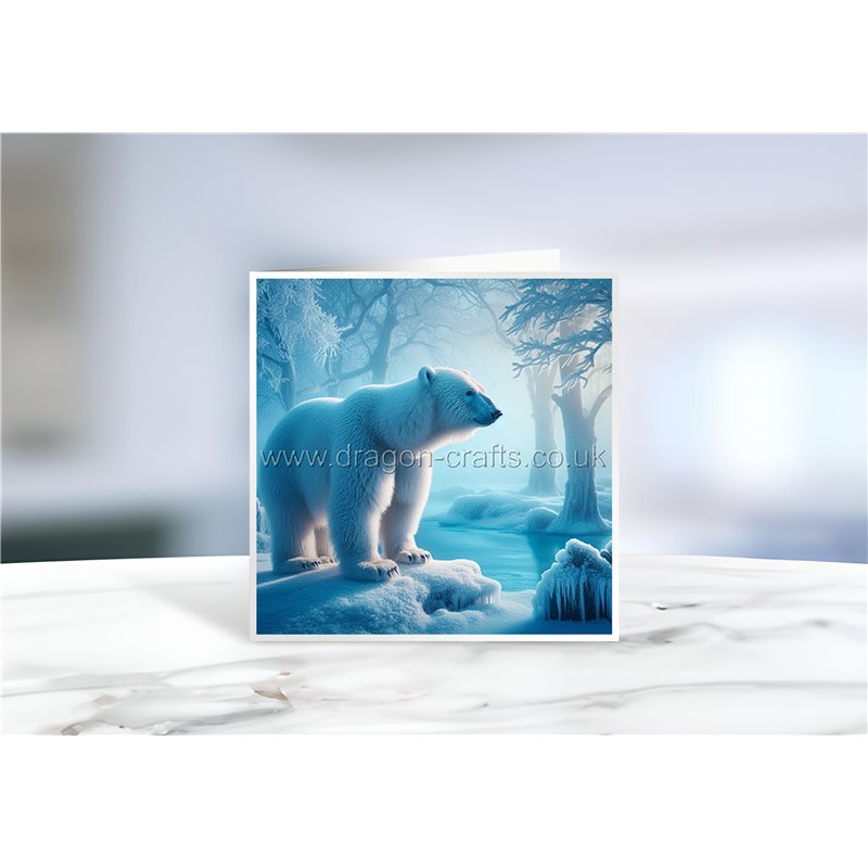 Greeting Card - Matt - 145x145mmPolar (6)