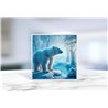 Greeting Card - Matt - 145x145mmPolar (6)