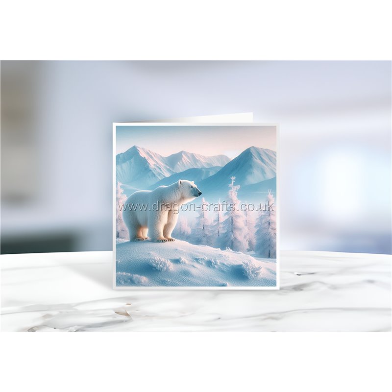 Greeting Card - Matt - 145x145mmPolar (7)