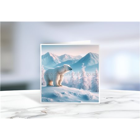 Greeting Card - Matt - 145x145mmPolar (7)