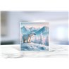 Greeting Card - Matt - 145x145mmPolar (7)