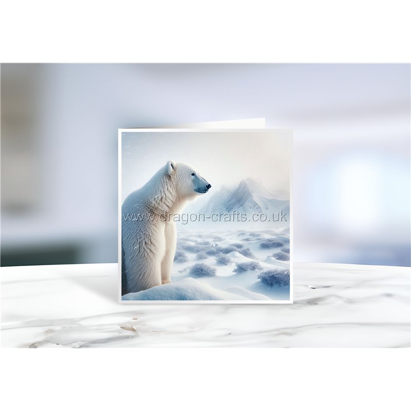 Greeting Card - Matt - 145x145mmPolar (8)