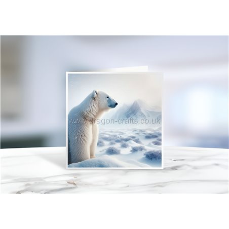 Greeting Card - Matt - 145x145mmPolar (8)