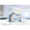 Greeting Card - Matt - 145x145mmPolar (8)