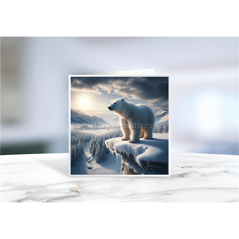 Greeting Card - Matt - 145x145mmPolar (9)