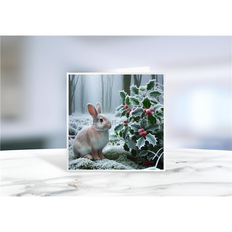 Greeting Card - Matt - 145x145mmRabbit (11)