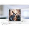 Greeting Card - Matt - 145x145mmRabbit (16)
