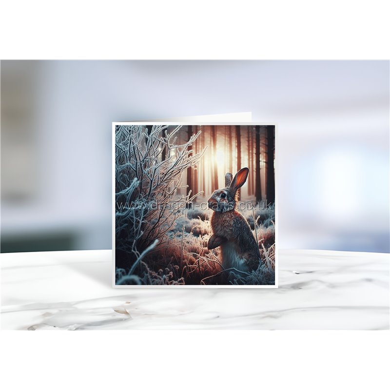 Greeting Card - Matt - 145x145mmRabbit (18)