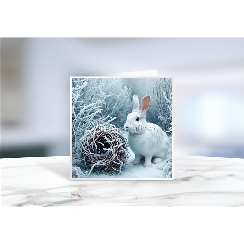Greeting Card - Matt - 145x145mmRabbit (20)