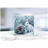 Greeting Card - Matt - 145x145mmRabbit (20)
