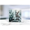 Greeting Card - Matt - 145x145mmRabbit (5)