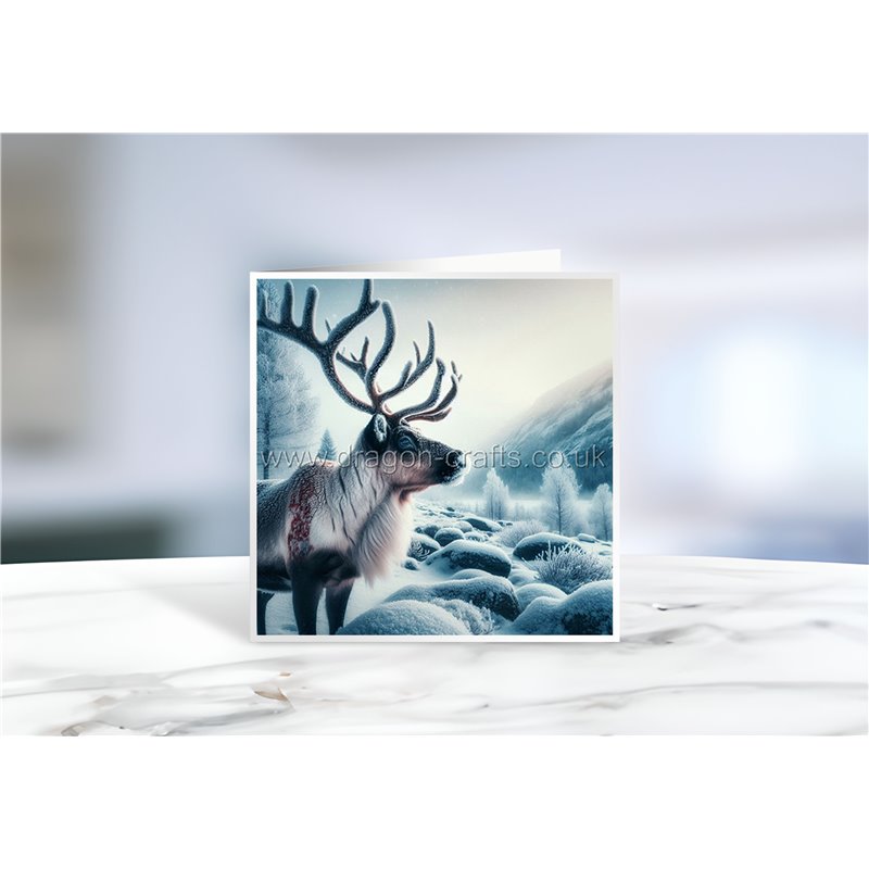 Greeting Card - Matt - 145x145mmreindeer (10)