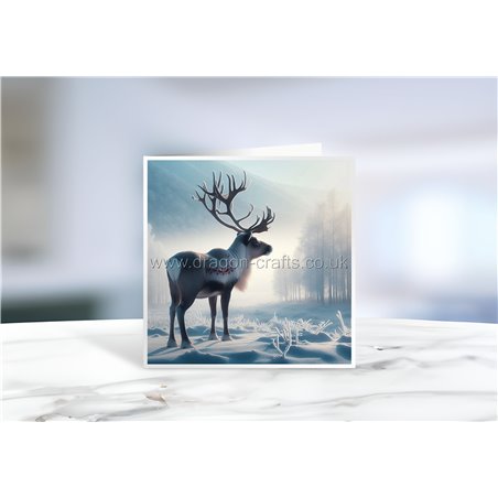 Greeting Card - Matt - 145x145mmreindeer (6)