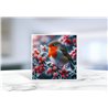 Greeting Card - Matt - 145x145mmRobin (1)