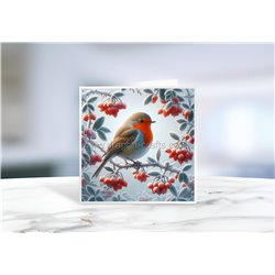 Greeting Card - Matt - 145x145mmRobin (10)