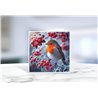 Greeting Card - Matt - 145x145mmRobin (13)