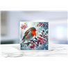 Greeting Card - Matt - 145x145mmRobin (17)