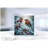 Greeting Card - Matt - 145x145mmRobin (20)