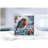 Greeting Card - Matt - 145x145mmRobin (4)