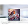 Greeting Card - Matt - 145x145mmRobin (5)