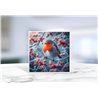 Greeting Card - Matt - 145x145mmRobin (6)