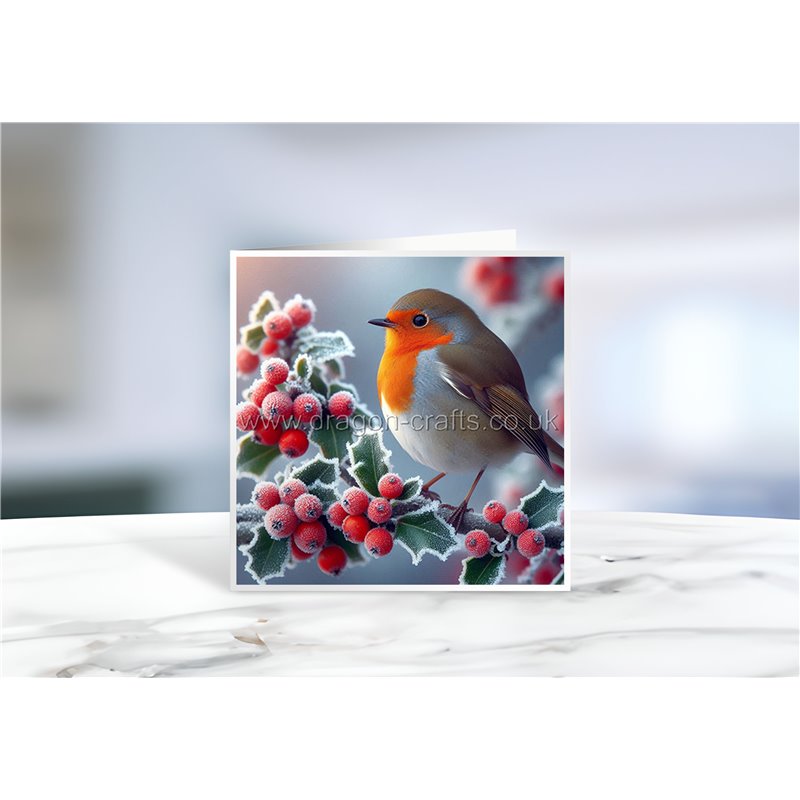 Greeting Card - Matt - 145x145mmRobin (7)