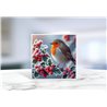 Greeting Card - Matt - 145x145mmRobin (7)