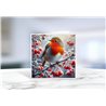 Greeting Card - Matt - 145x145mmRobin (8)