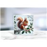 Greeting Card - Matt - 145x145mmSquirrel (11)