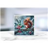 Greeting Card - Matt - 145x145mmSquirrel (3)