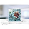 Greeting Card - Matt - 145x145mmSquirrel (5)