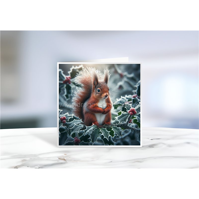 Greeting Card - Matt - 145x145mmSquirrel (6) Greeting Card - Matt - 145x145mmSquirrel (6)