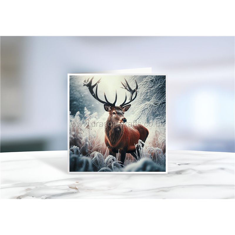 Greeting Card - Matt - 145x145mmstag (3)