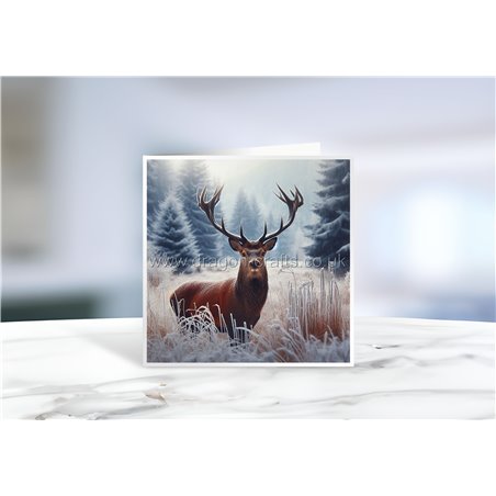 Greeting Card - Matt - 145x145mmstag (4)