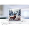 Greeting Card - Matt - 145x145mmstag (4)