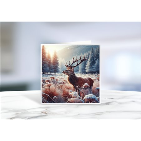 Greeting Card - Matt - 145x145mmstag (5)