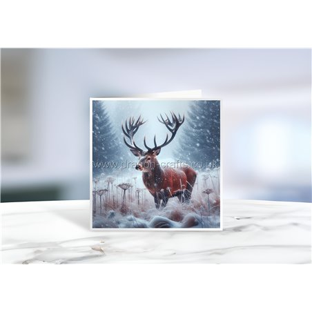 Greeting Card - Matt - 145x145mmstag (6)