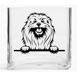 Tank Vase TVD(62)