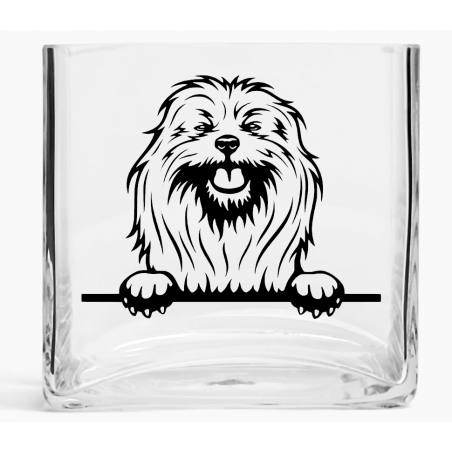 Tank Vase TVD(62)