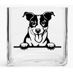 Tank Vase TVD(66)