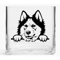 Tank Vase TVD(68)