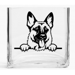 Tank Vase TVD(71)