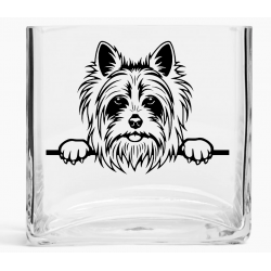 Tank Vase TVD(73)