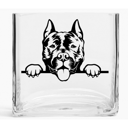 Tank Vase TVD(76)