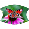 2 Layer Face Mask with Filter - FM6