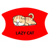 Lazy43